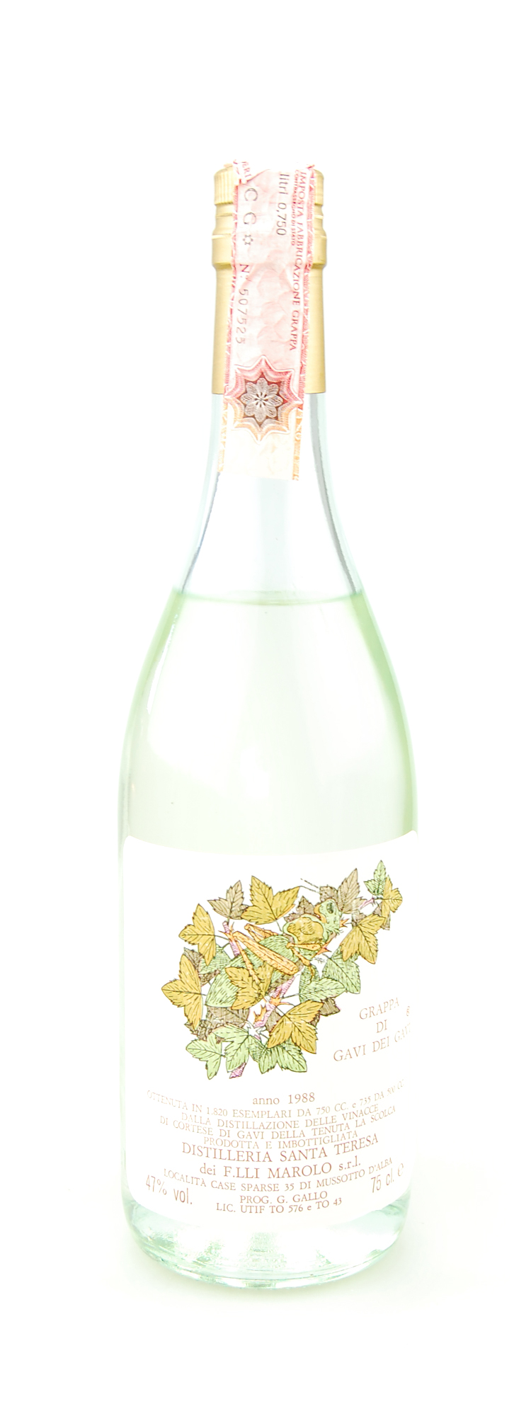 Grappa 1988 di Gavi dei Gavi Marolo Santa Teresa